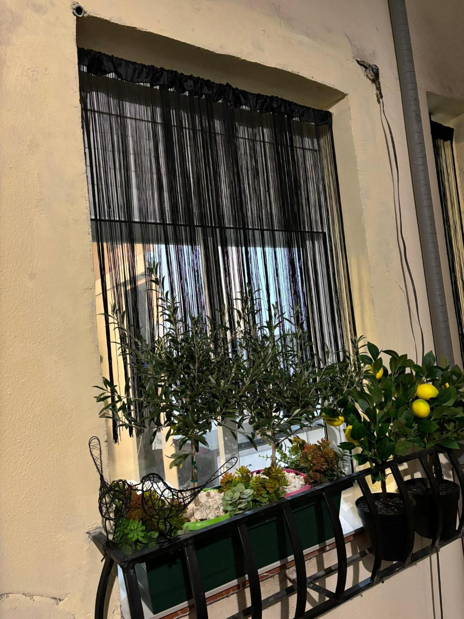 Cozy & Central Malasana 马德里 外观 照片